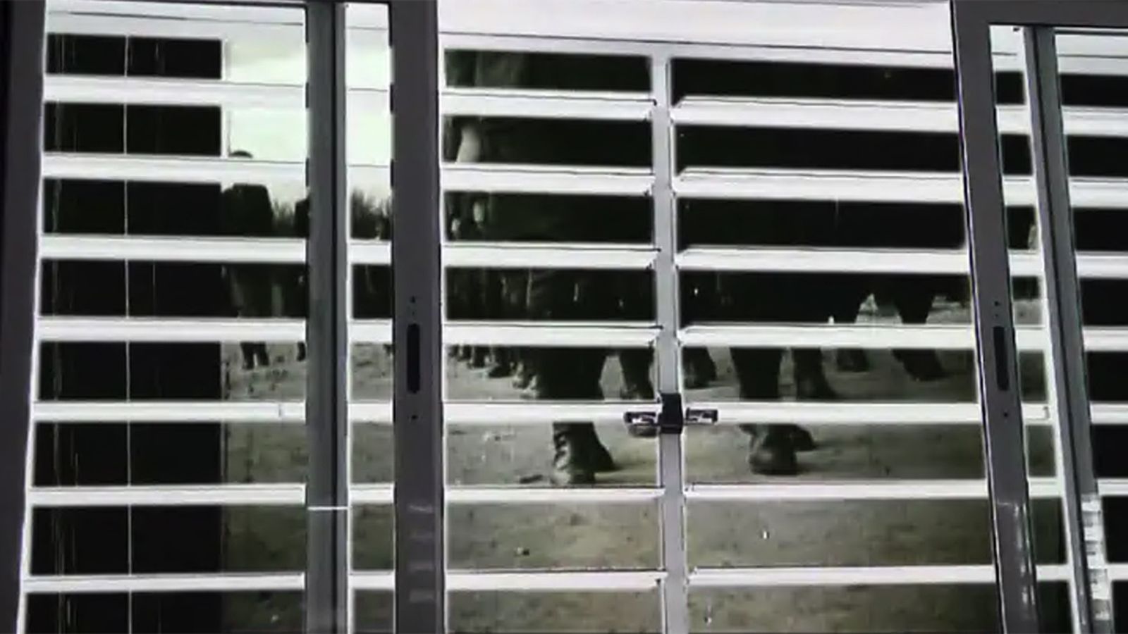 Comunicación Documental La derrota de las aulas