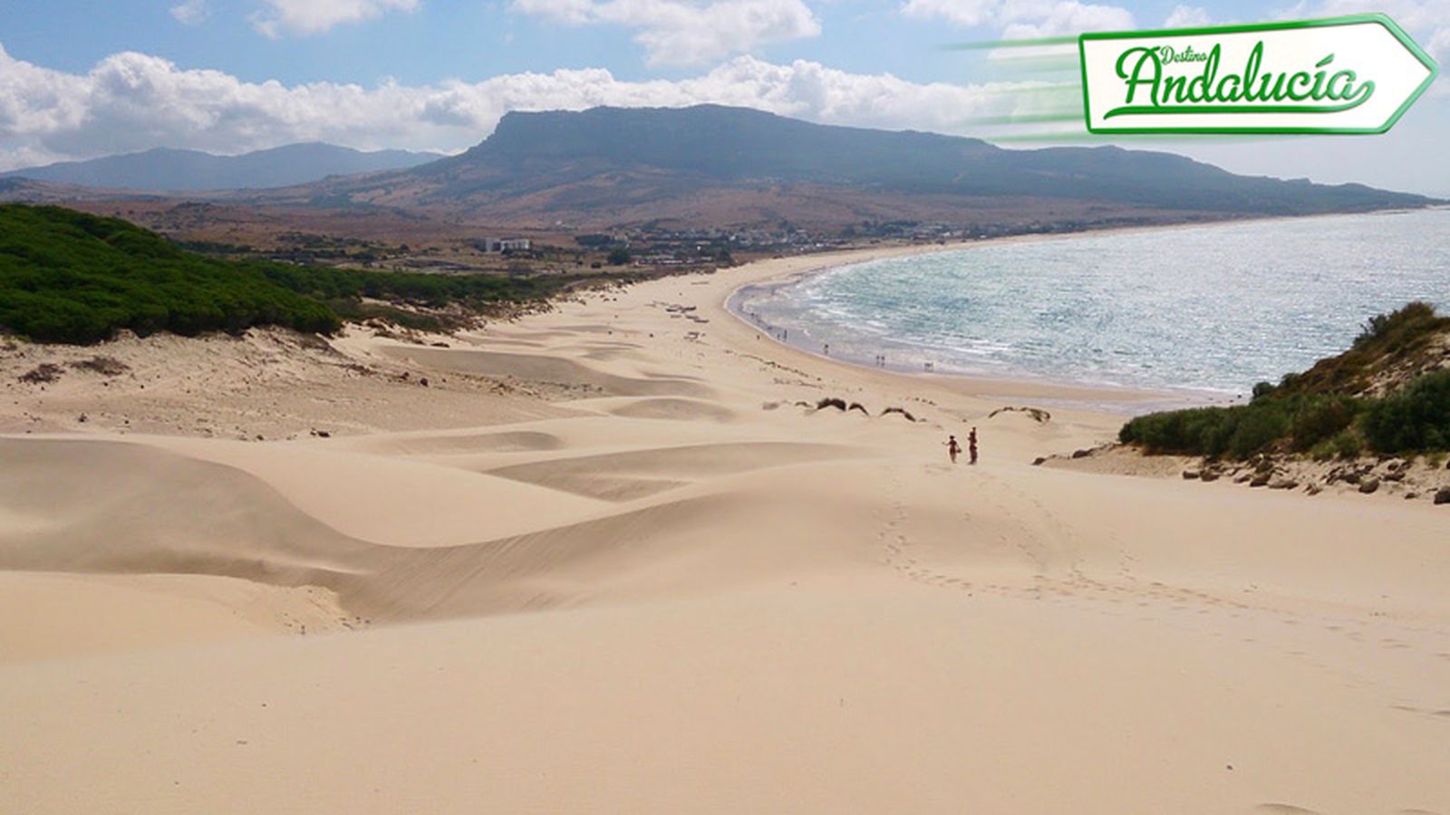 Destino Andalucía Bolonia 13/05/17