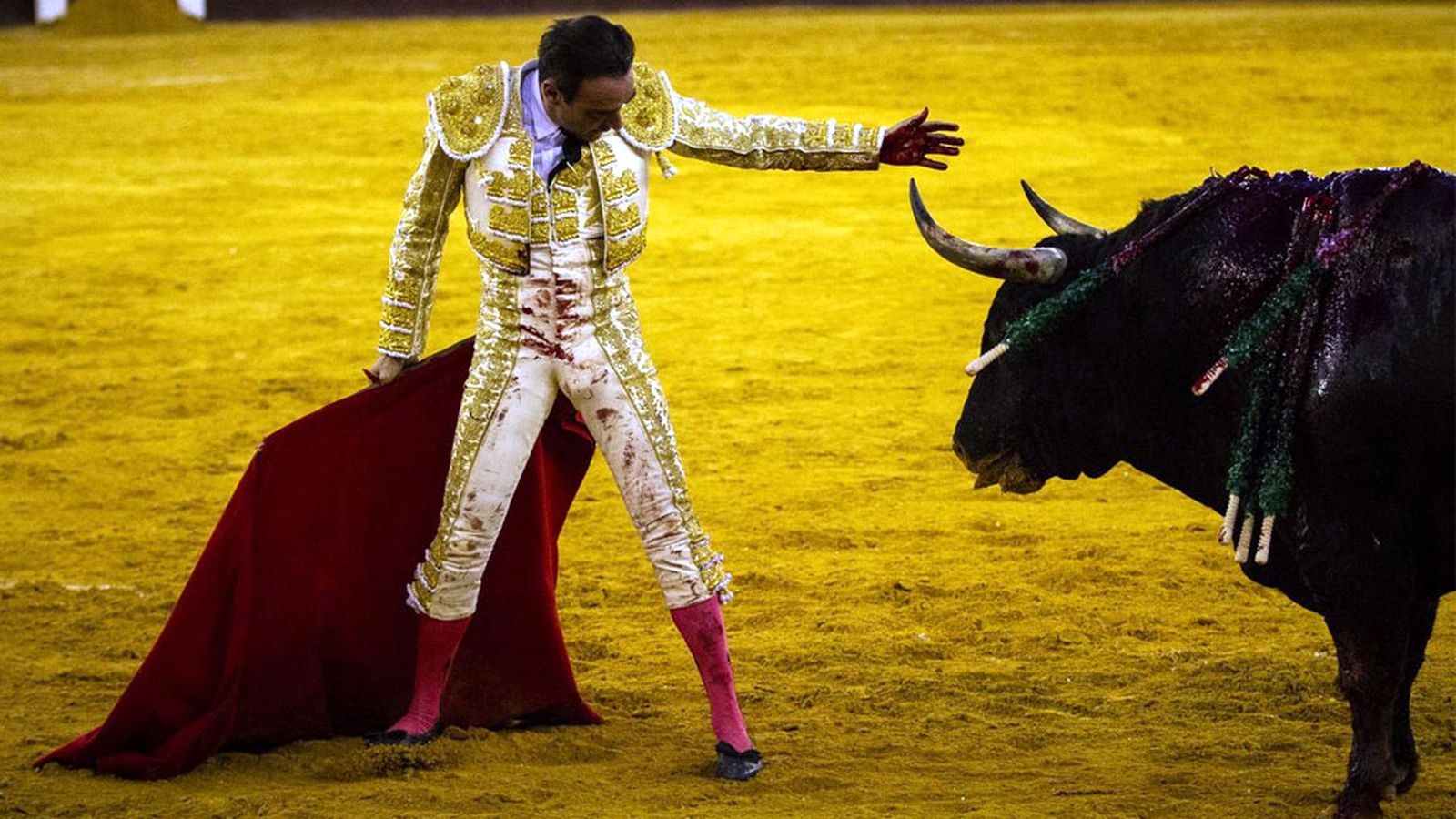 Toros para Todos feria de Málaga 2018 Enrique Ponce 1024x576