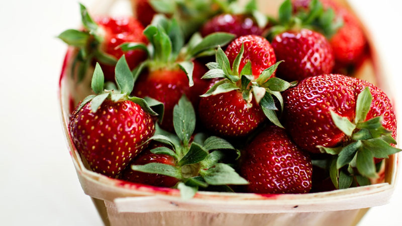bascula 23 calorimetro fresas