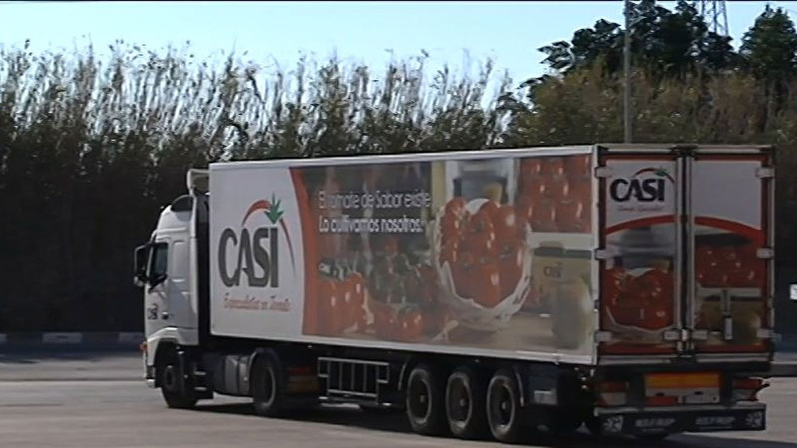 exportacion