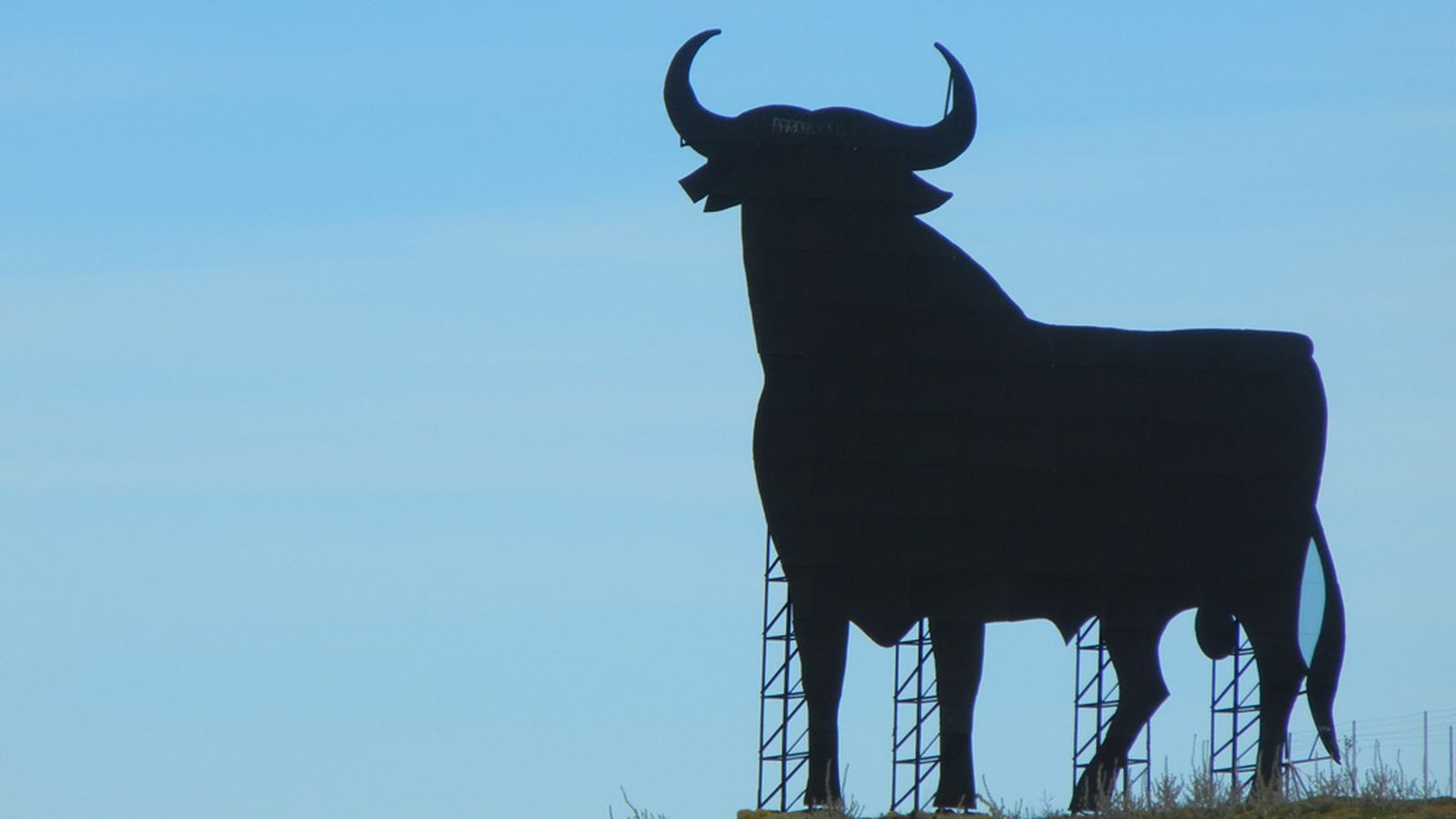 toro