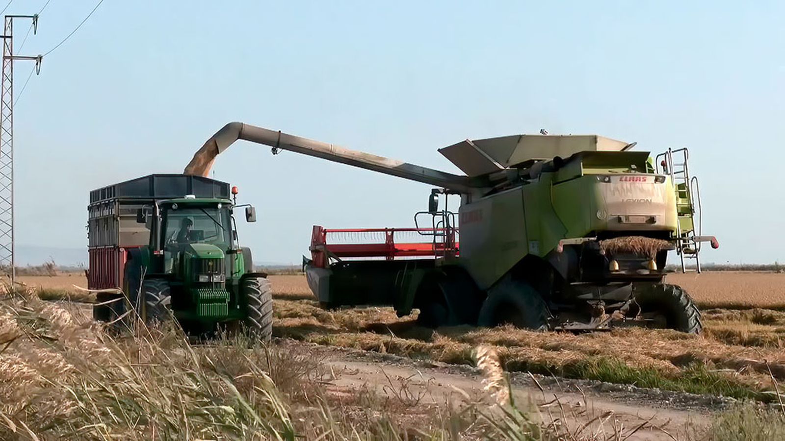 La mejor campaña en cinco años y el arroz sin vender