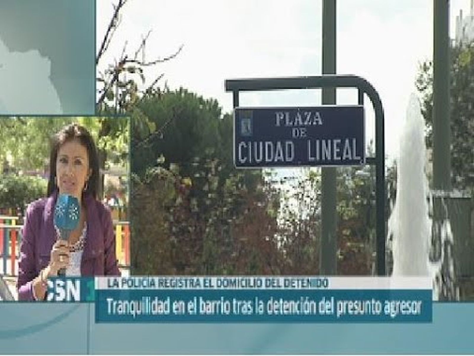 Pederasta de la Ciudad Lineal de Madrid, detención en 2014