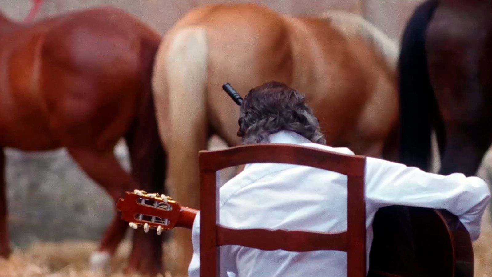 Documental, De caballos y guitarras, 22 marzo