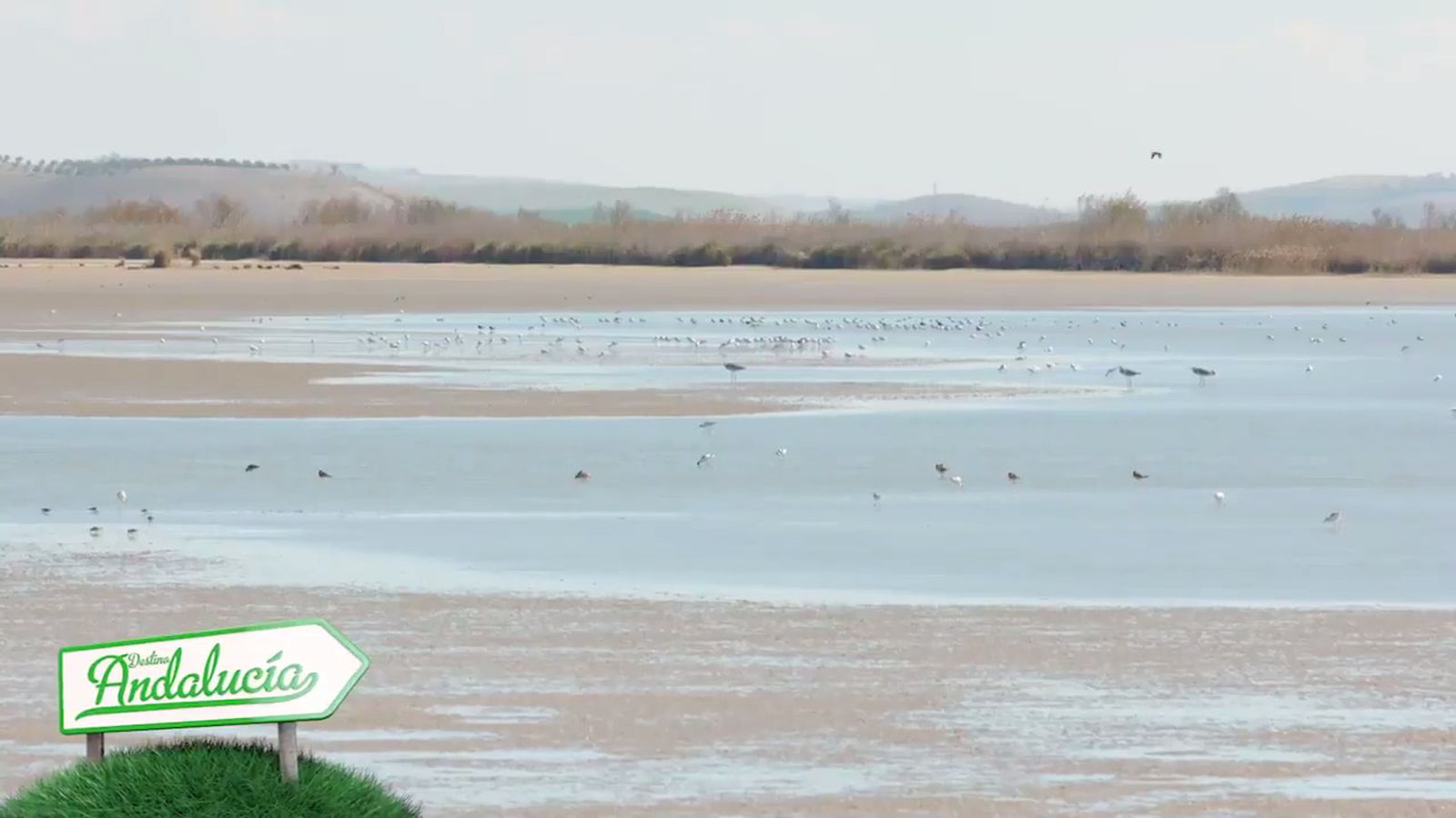 Destino Andalucía 15/03/18 Destacado 1