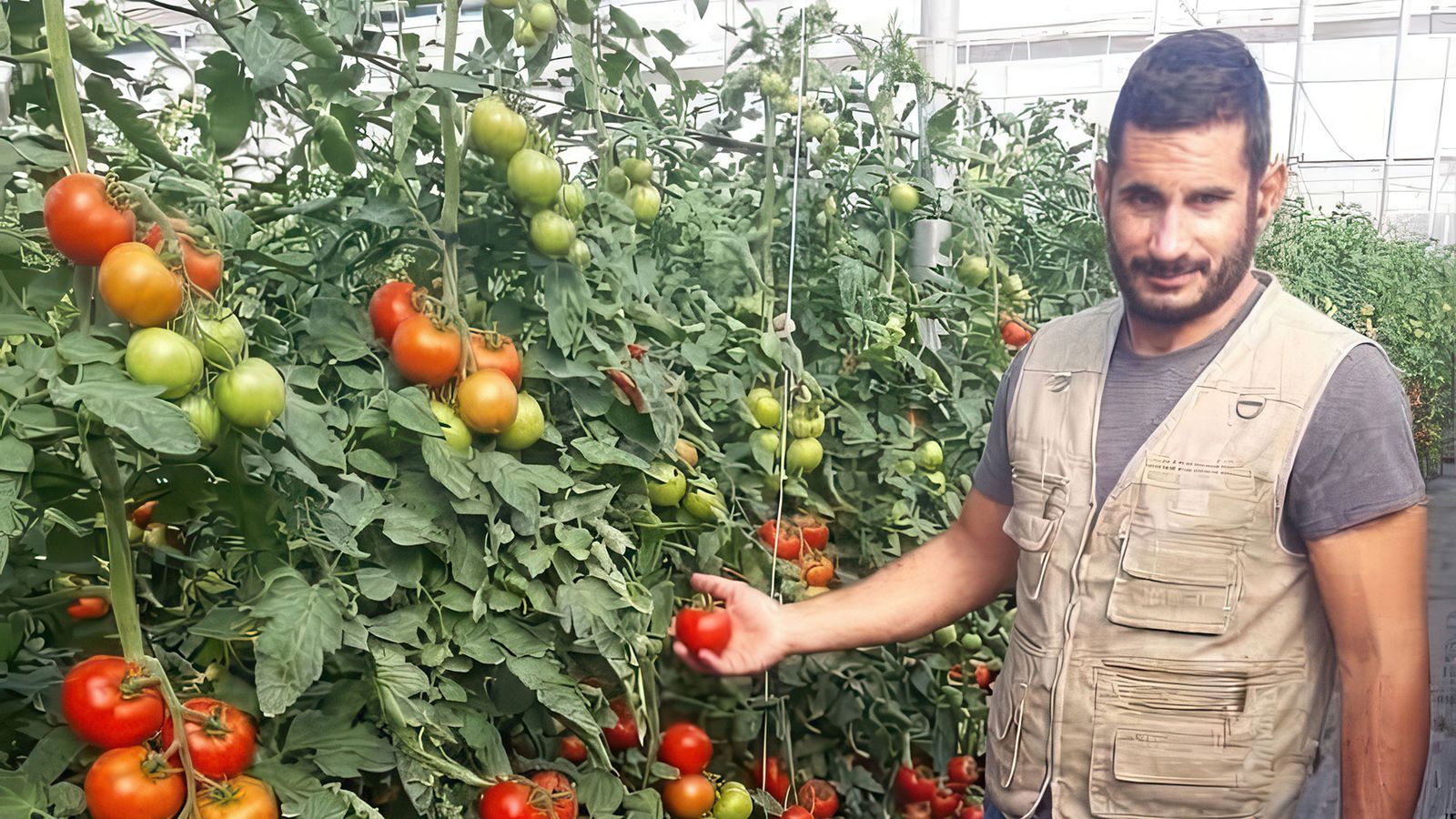 agricultor