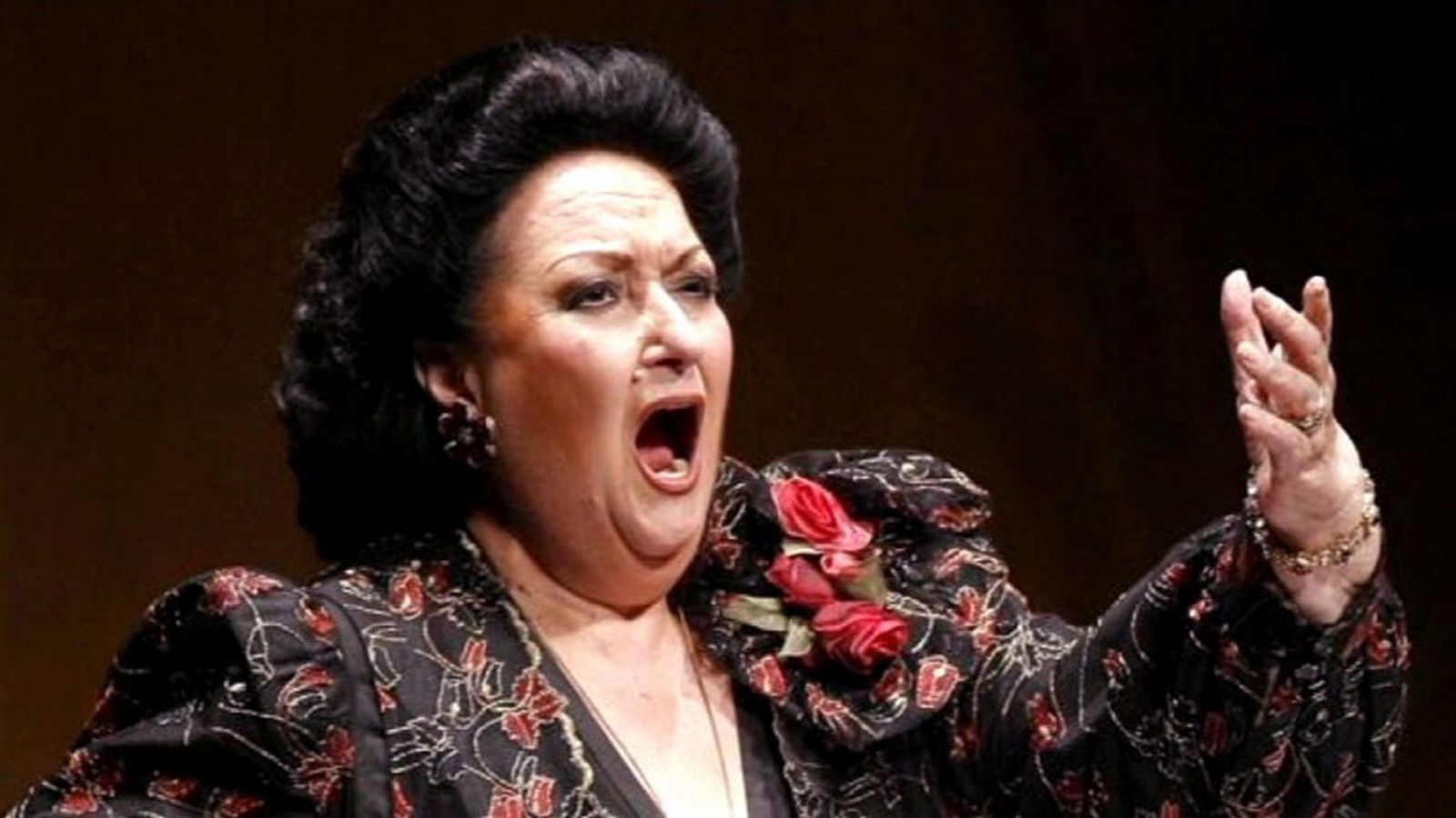 TAPA CABALLE 1024