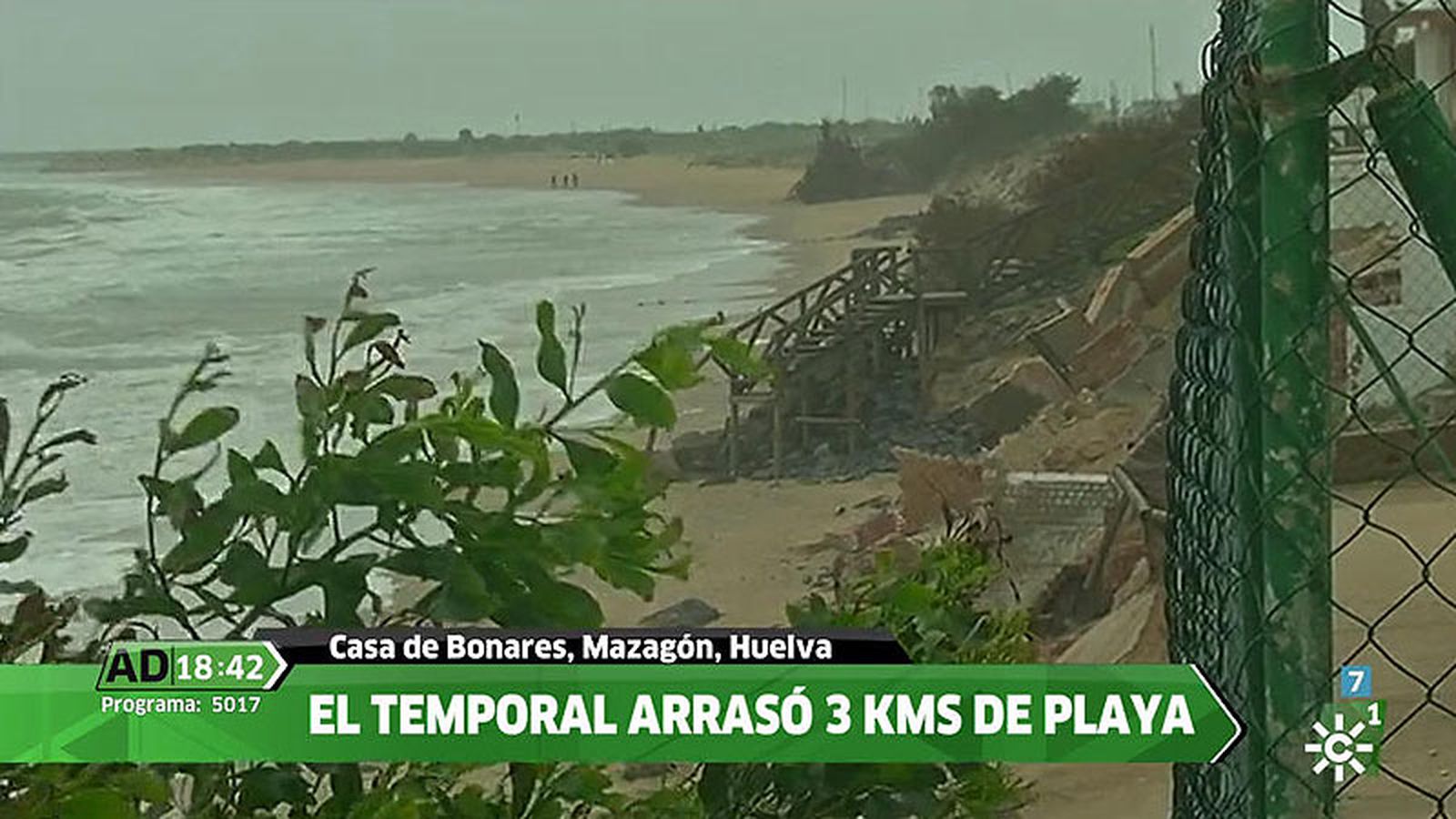 tapa ad temporal