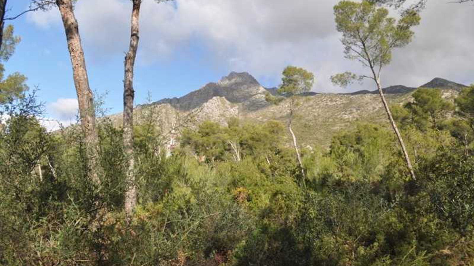 Pico de la Concha, Marbella 1024