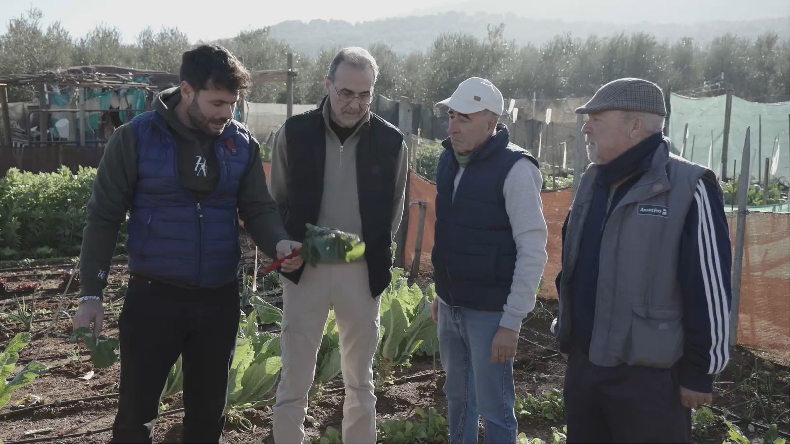 tierra de sabores canal sur