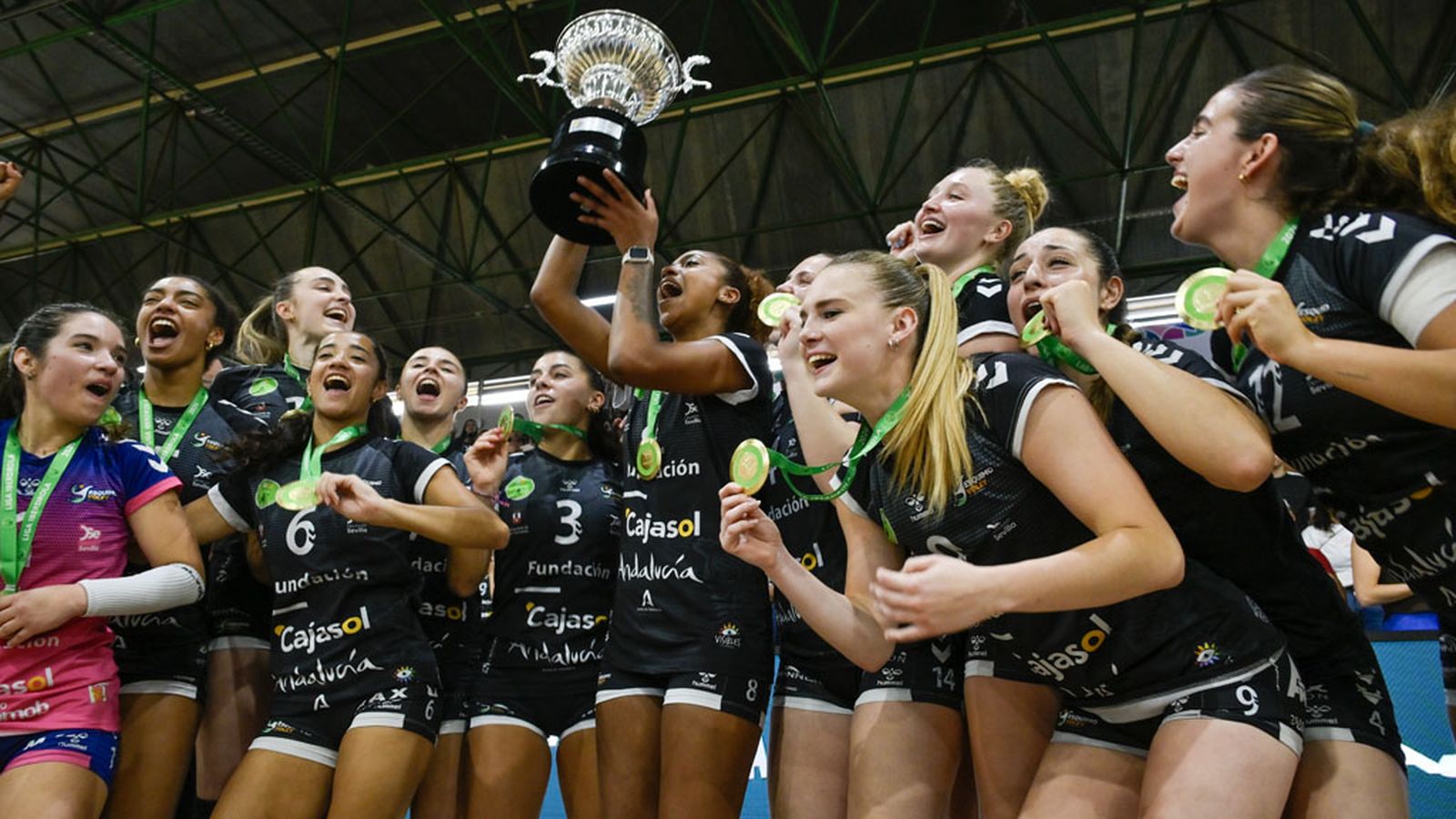 voleibol campeonas de liga