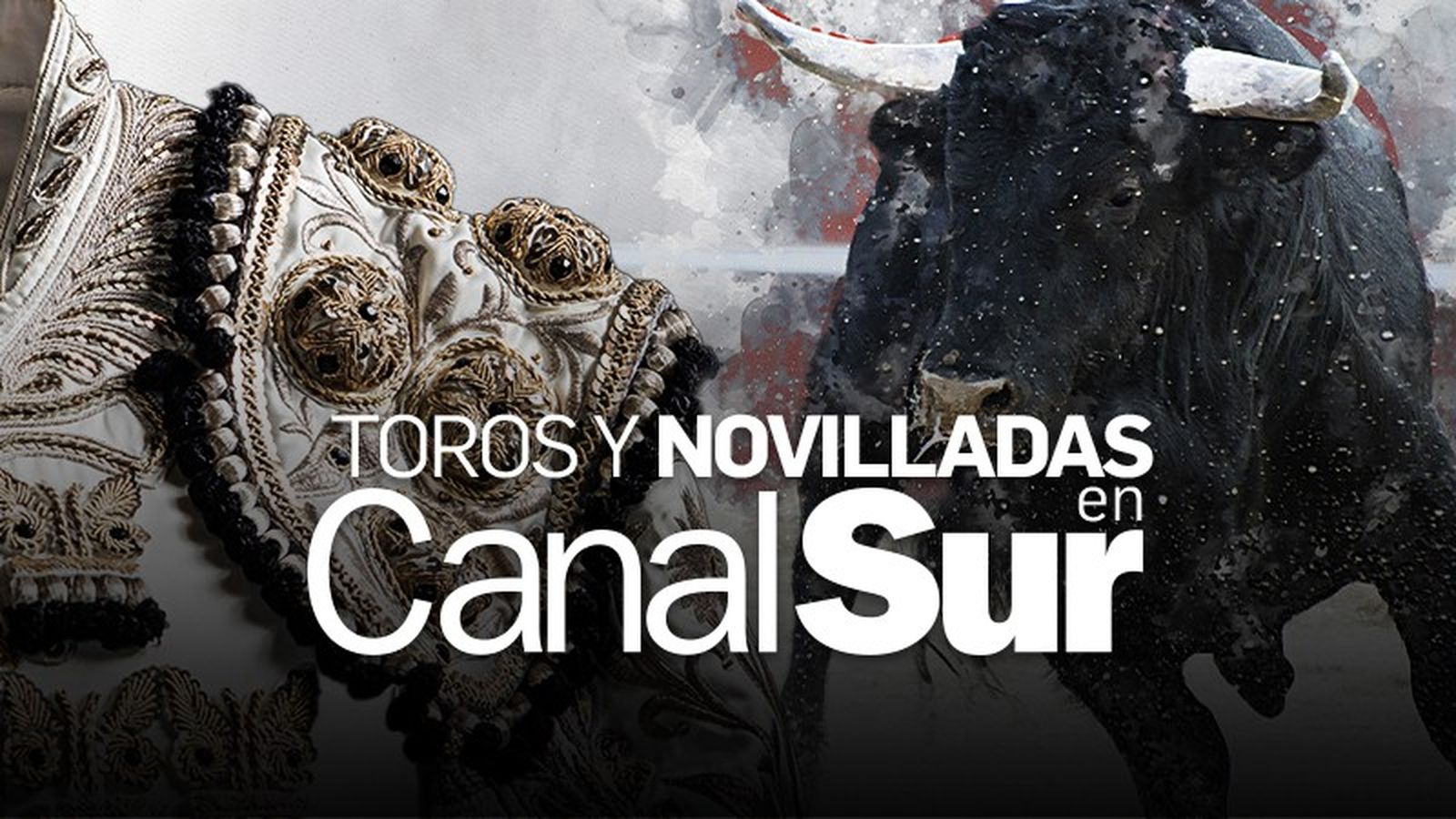 Comunicación Toros Canal Sur General