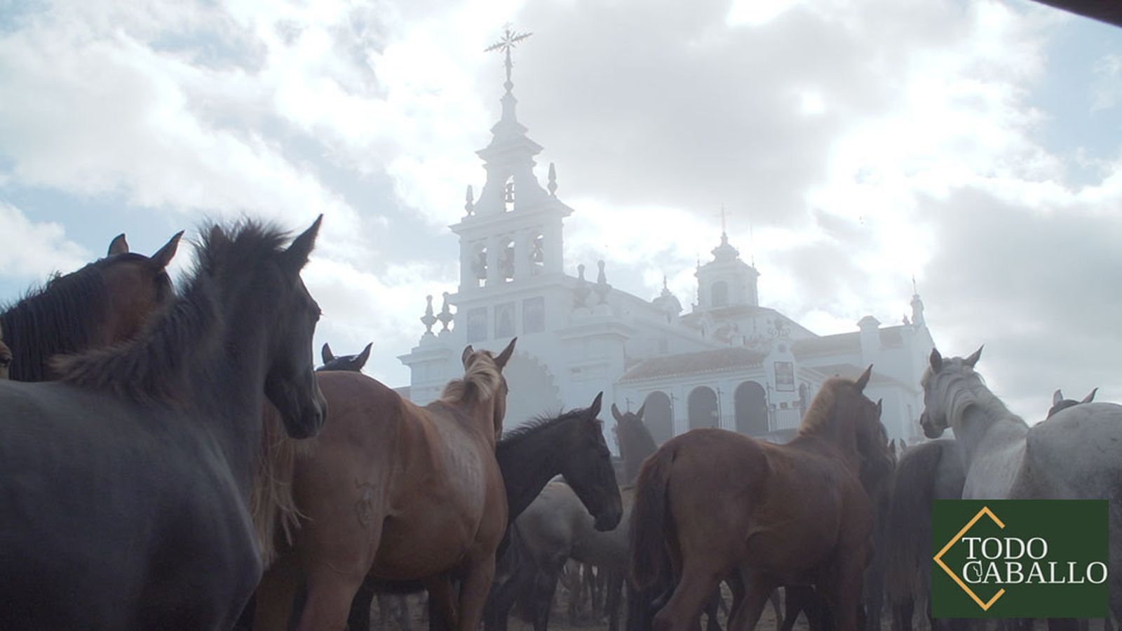Todo Caballo ok, 6 julio (comu)