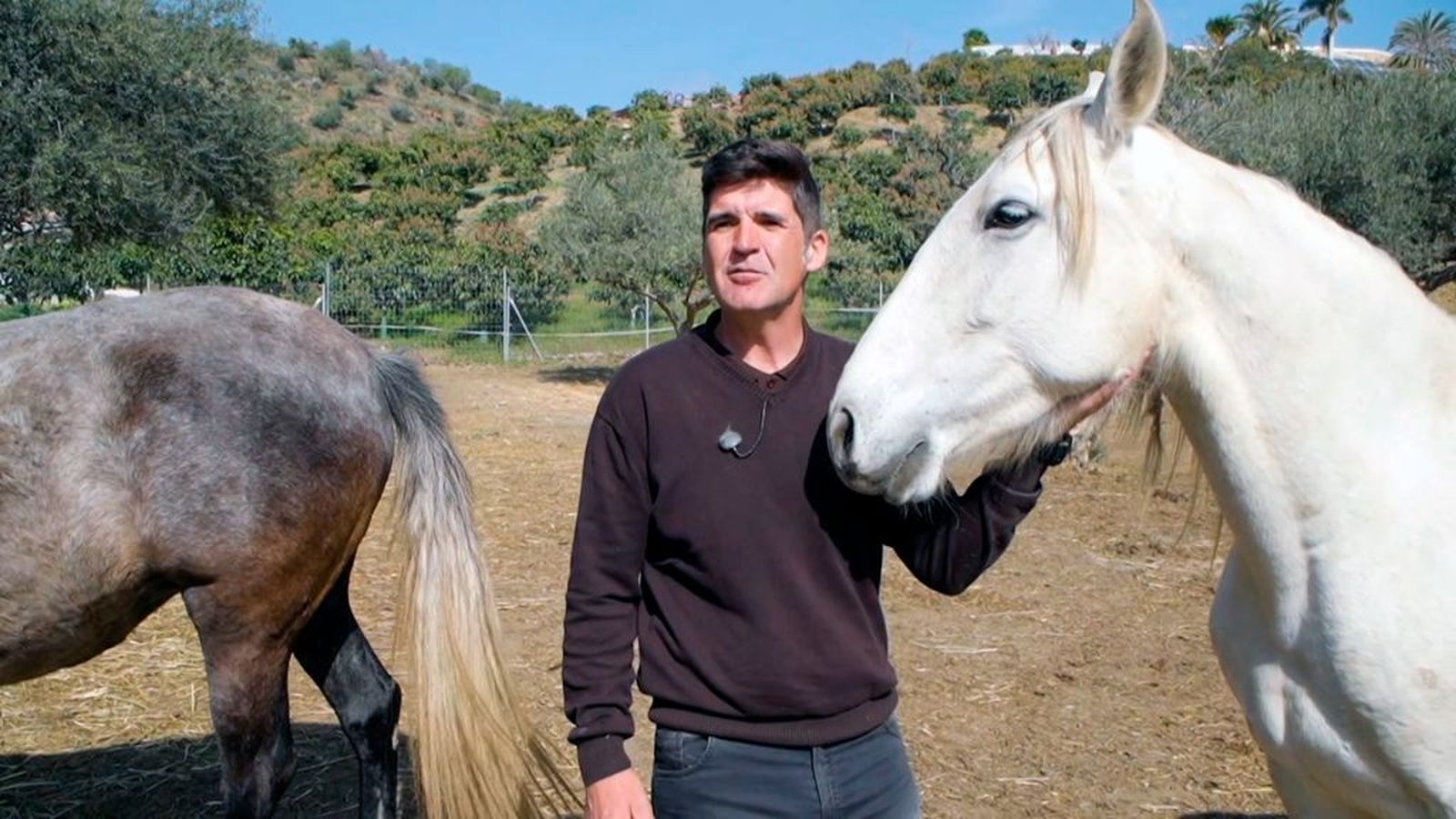 Agustín Aragón dejó la oficina para dedicarse a la crianza del caballo en Rincón de la Victoria