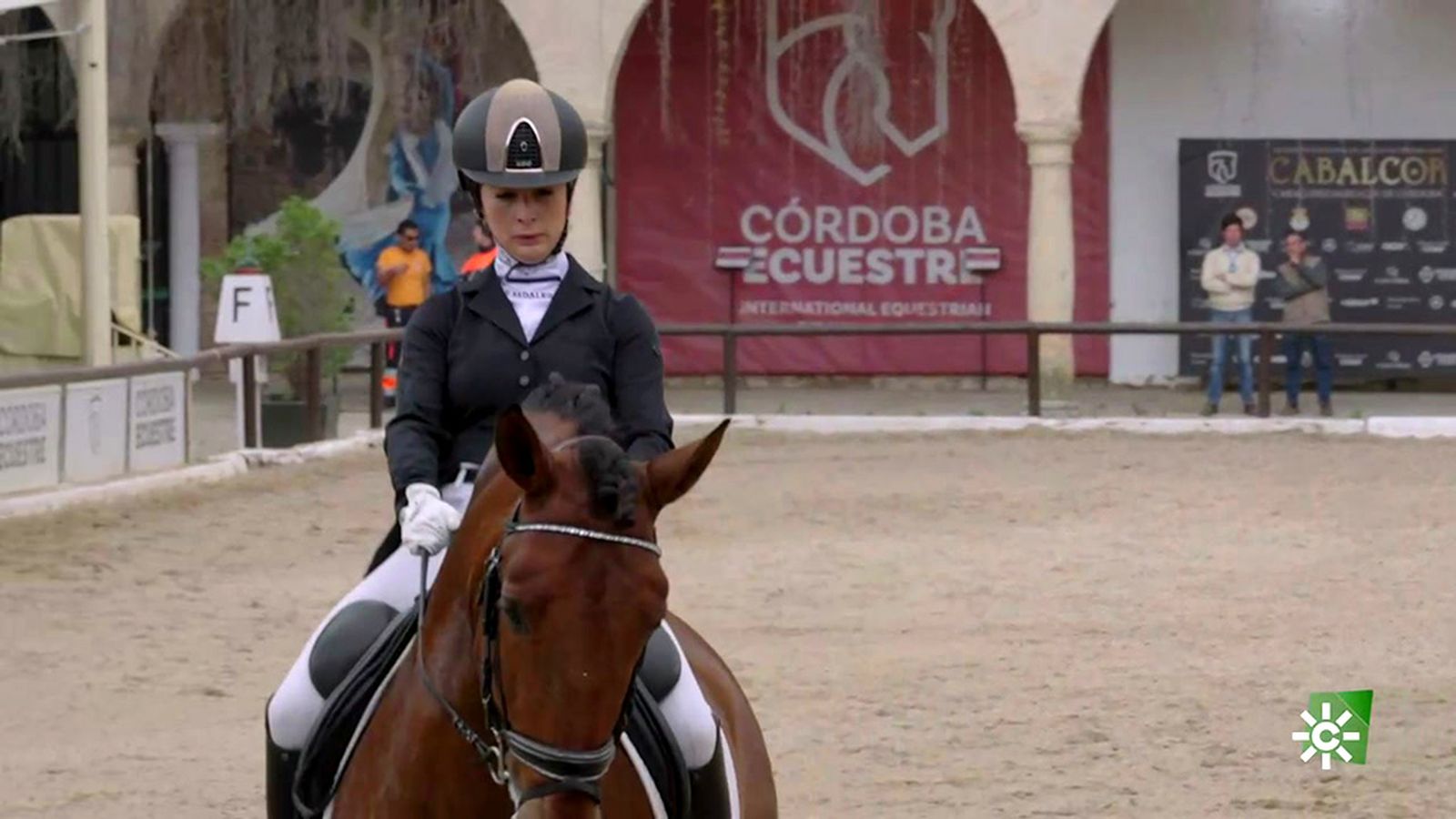 Comienza en Córdoba la temporada de Selección de Caballos Jóvenes de P.R.E.
