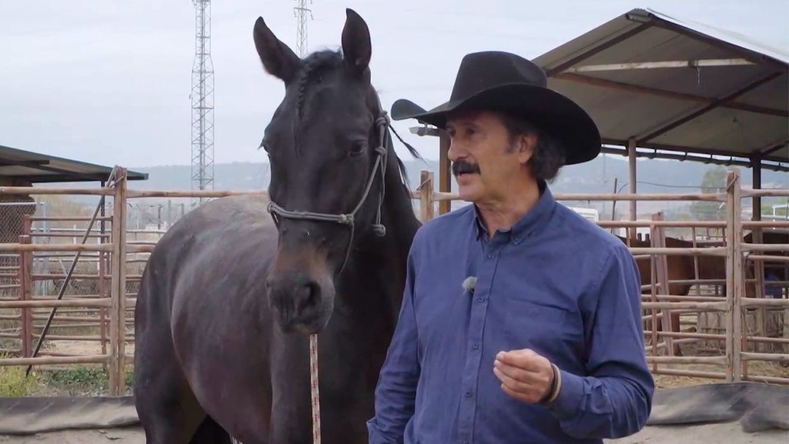 La doma natural, la comunicación directa entre el caballo y el ser humano