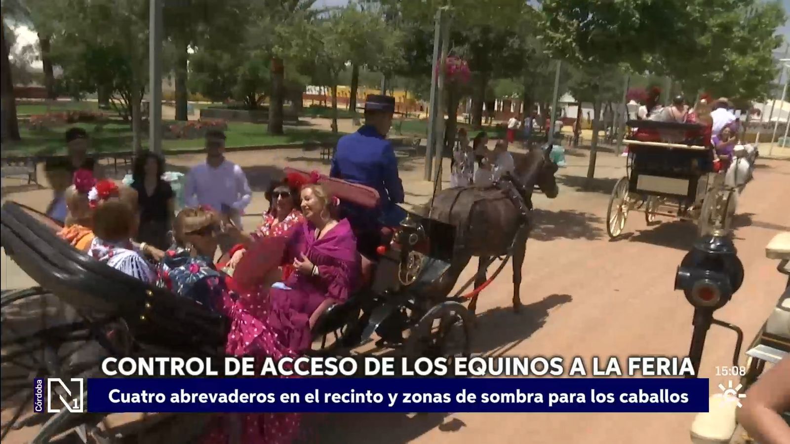 Controles para el bienestar de los caballos en la feria de Córdoba