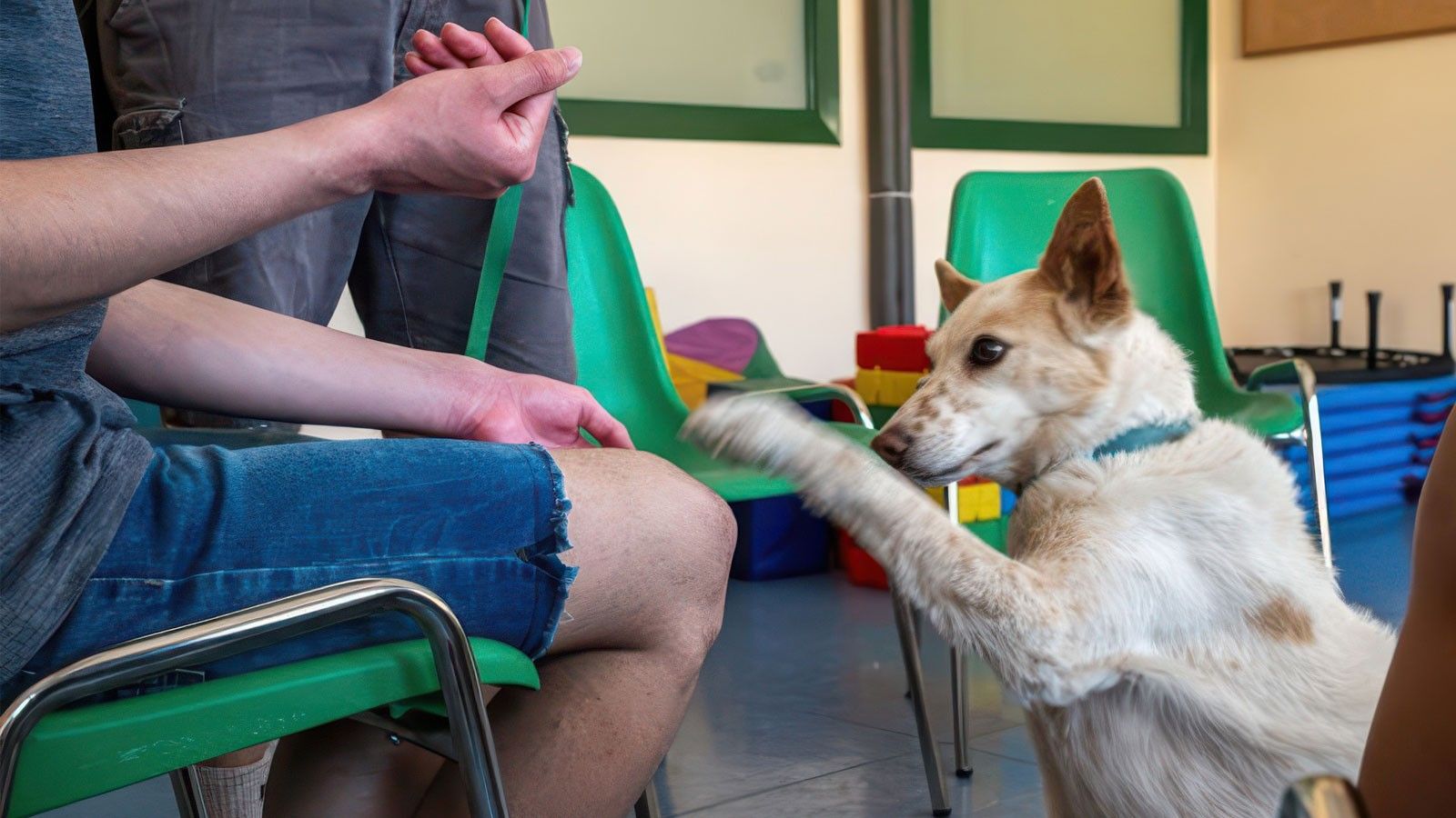 Perros para el bienestar emocional de los pacientes en Jaén