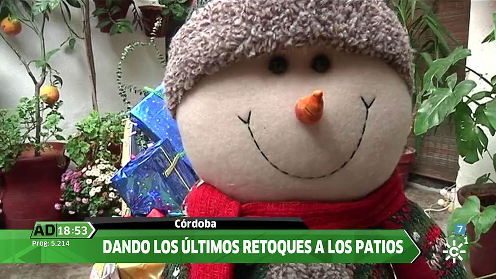 ad patios cordoba
