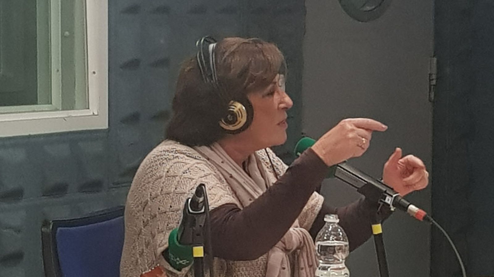 Isabel Fayos
