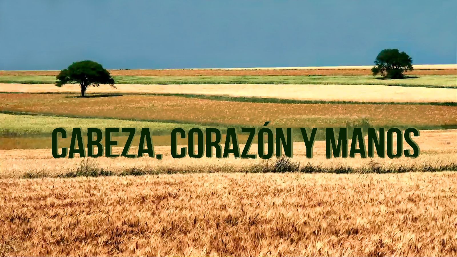 cabeza, corazon y manos