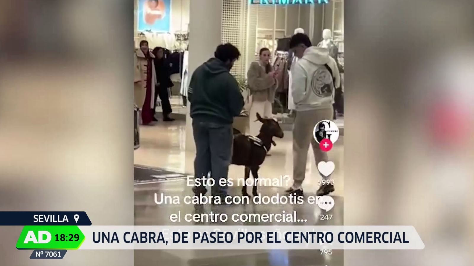 Una cabra paseando por un centro comercial de Sevilla