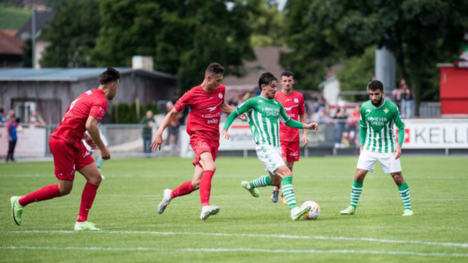 tapa betis