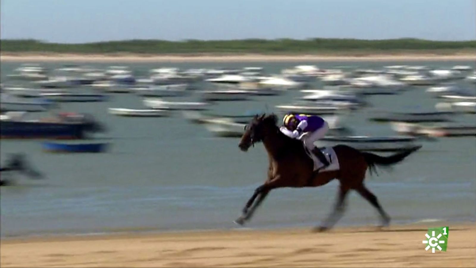 Carreras de caballos en Sanlucar Jueves TV a la carta