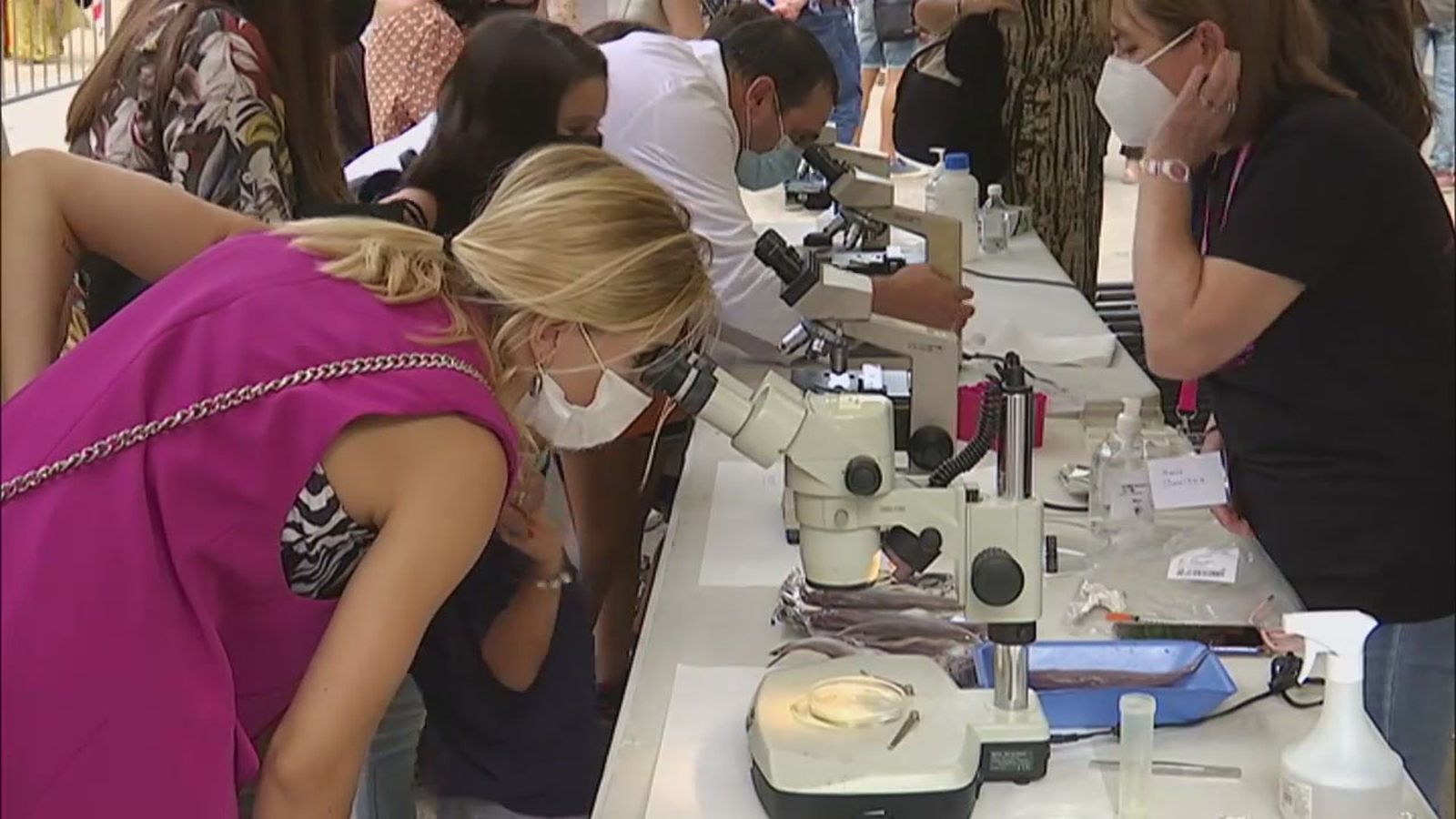 Investigadores llenan de ciencia las calles andaluzas