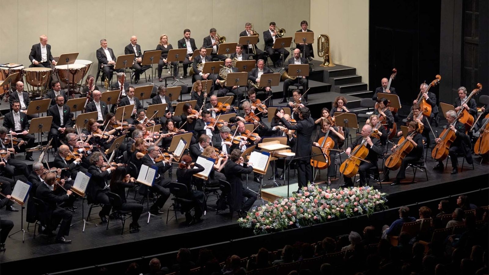 Dia de la Música ROSS