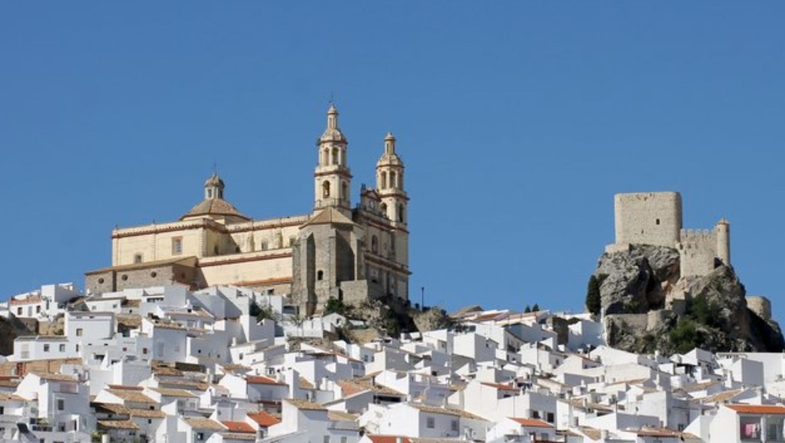 Olvera