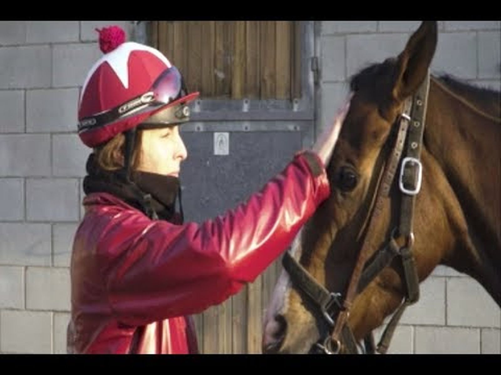 Graciela Rodríguez única mujer andaluza preparadora de caballos de carreras | TodoCaballo