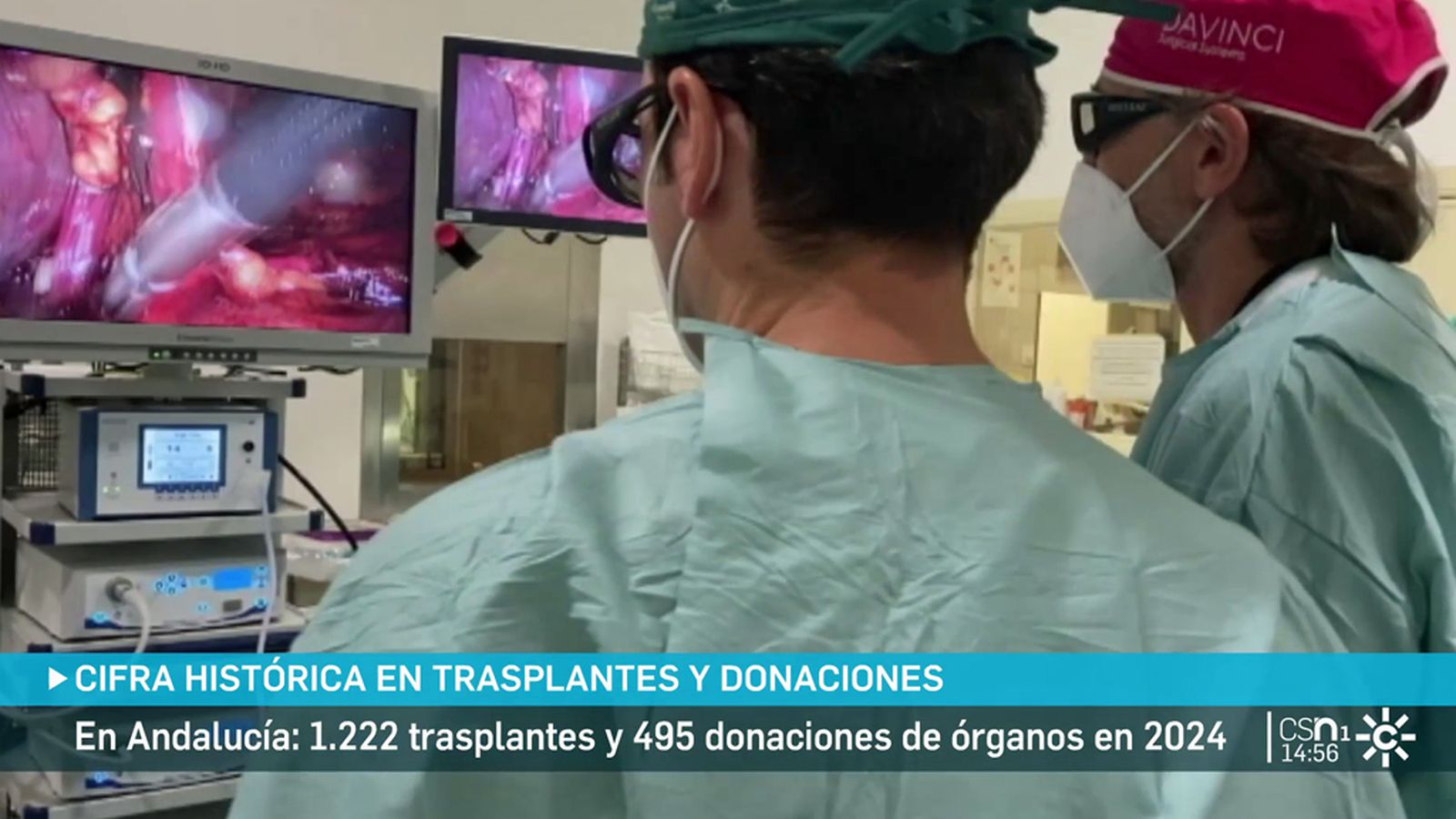 trasplantes y donación de órganos