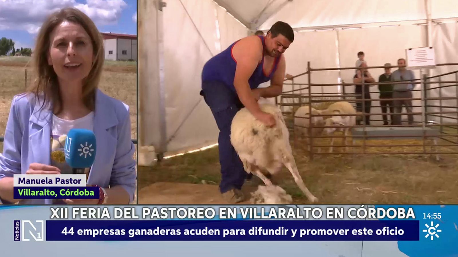 La Feria del Pastoreo de Villaralto promueve la difusión de este oficio tradicional