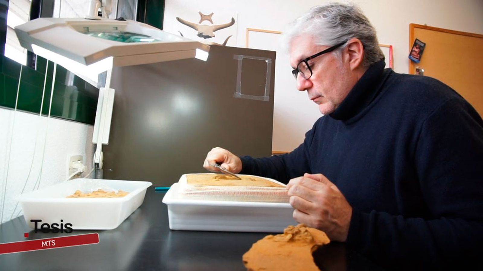 Huellas y pisadas de hace 150.000 años
