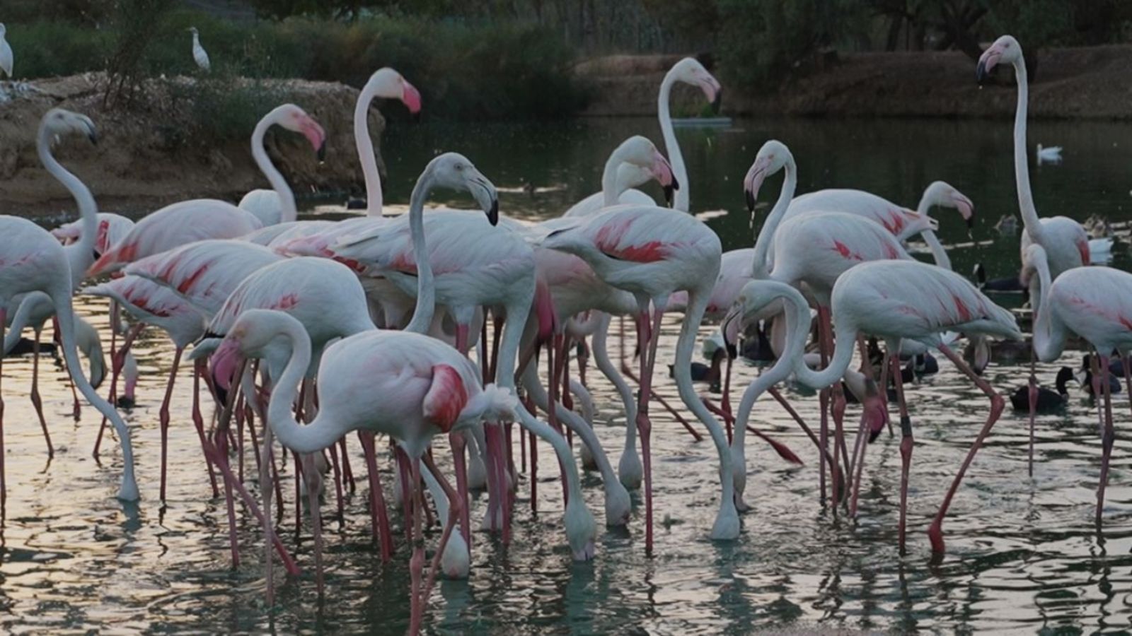 Cuatro vetas. La Cañada de los Pájaros