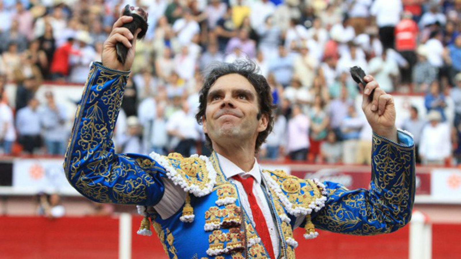 toros para todos