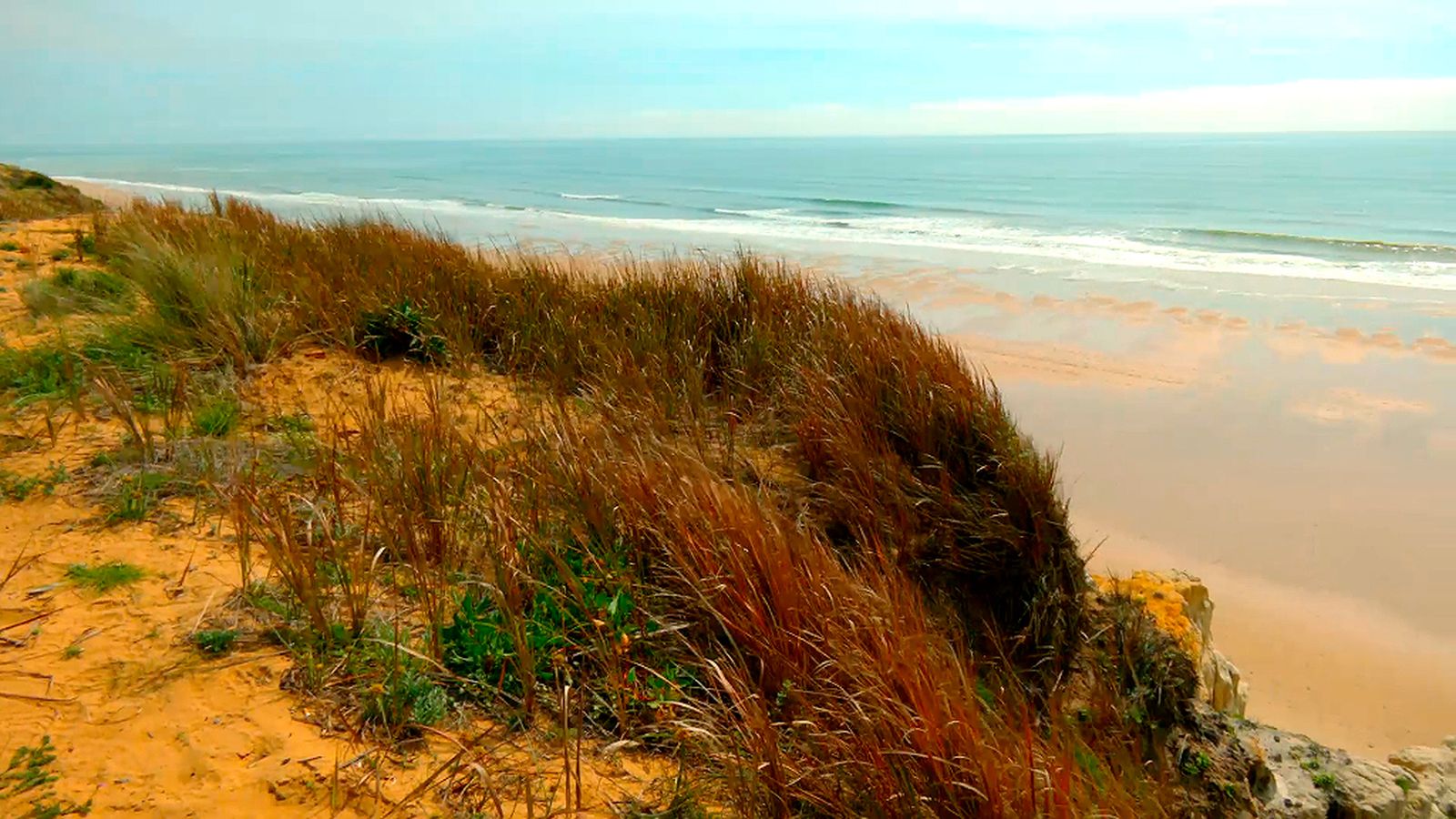playa Doñana
