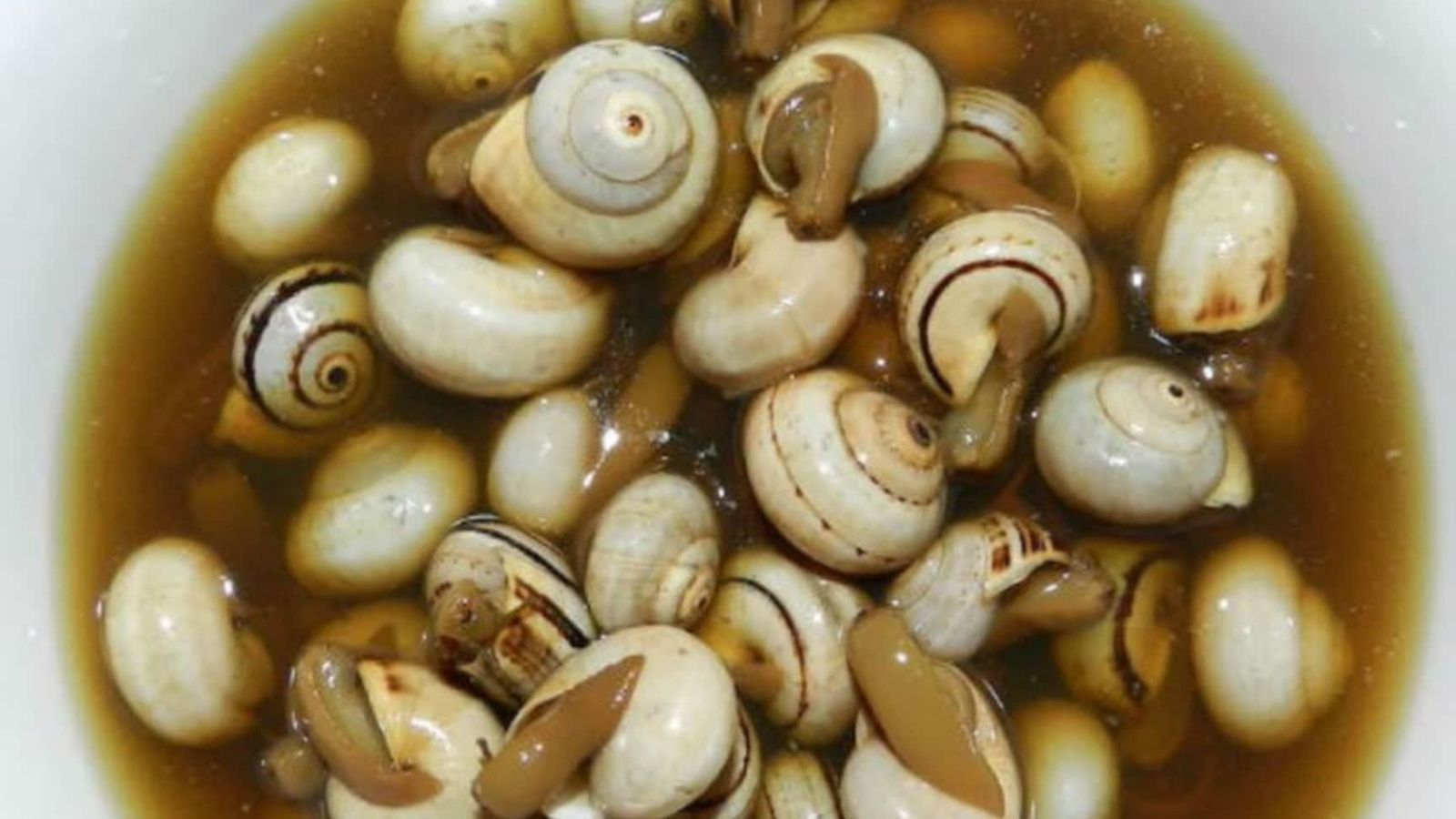 caracoles