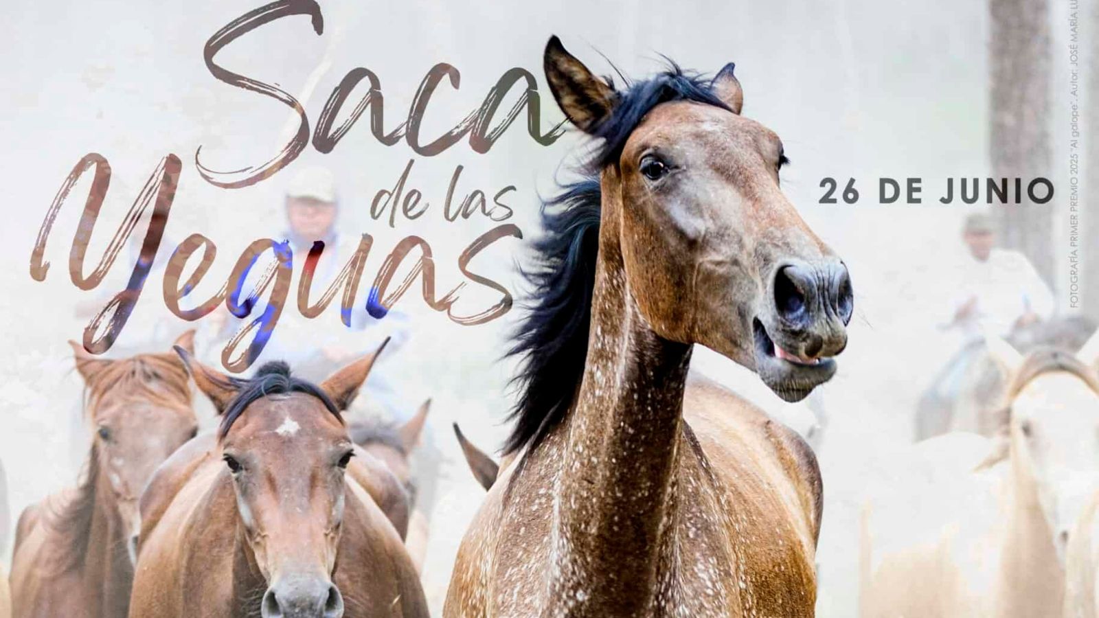 La saca de yeguas en Almonte en "La Tarde, Aquí y Ahora".