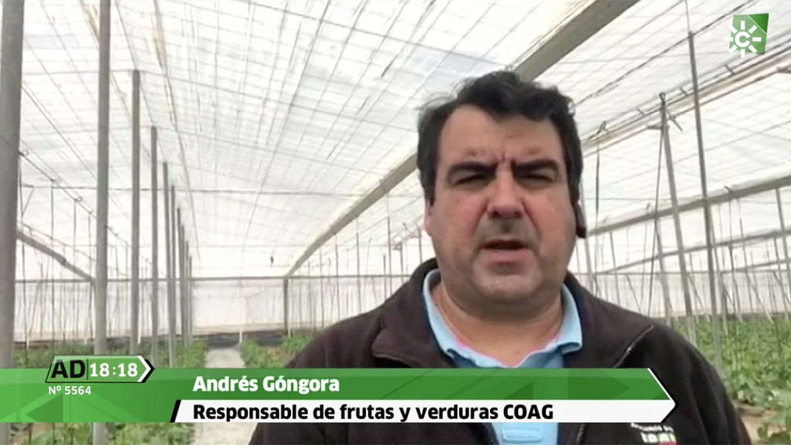 Ad Fruta Coag