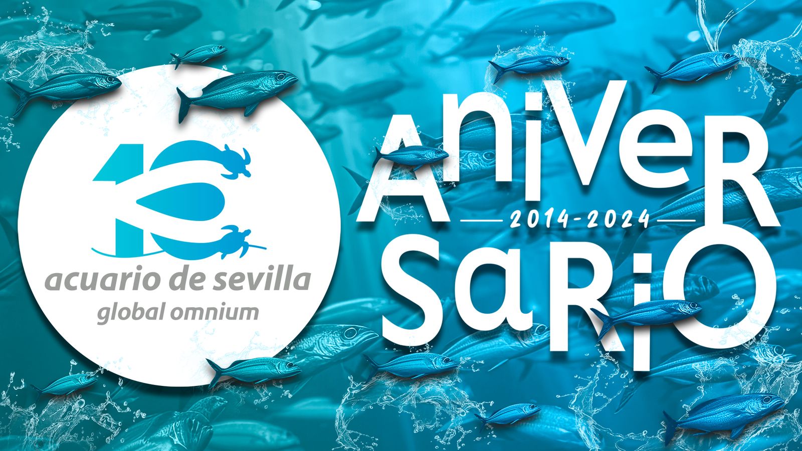 acuario 10