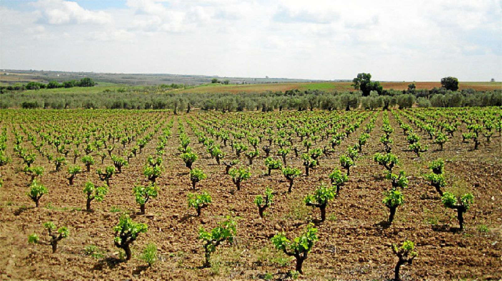 tierra y mar