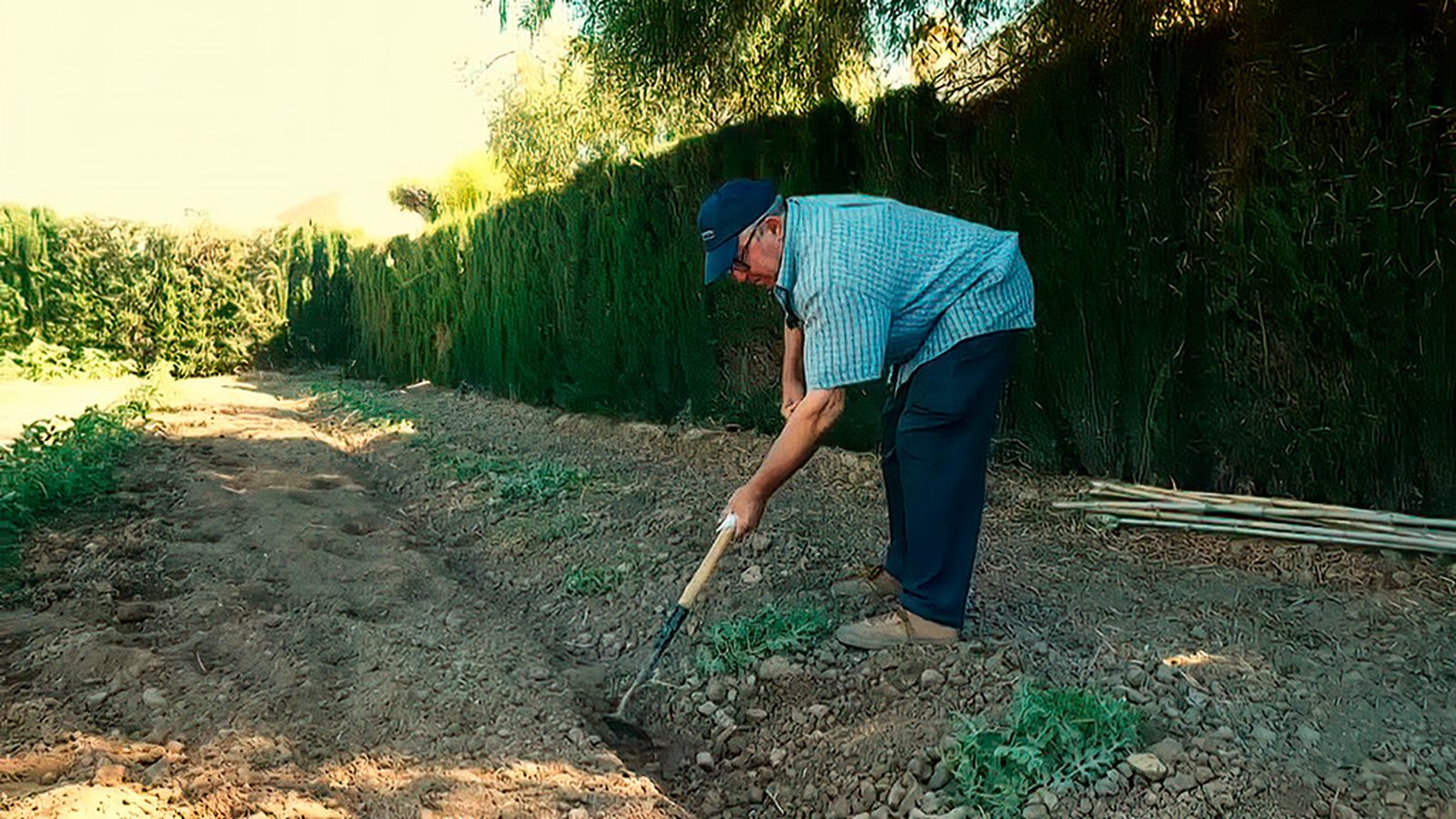 Un paseo por la maravillosa huerta tradicional de Albendín