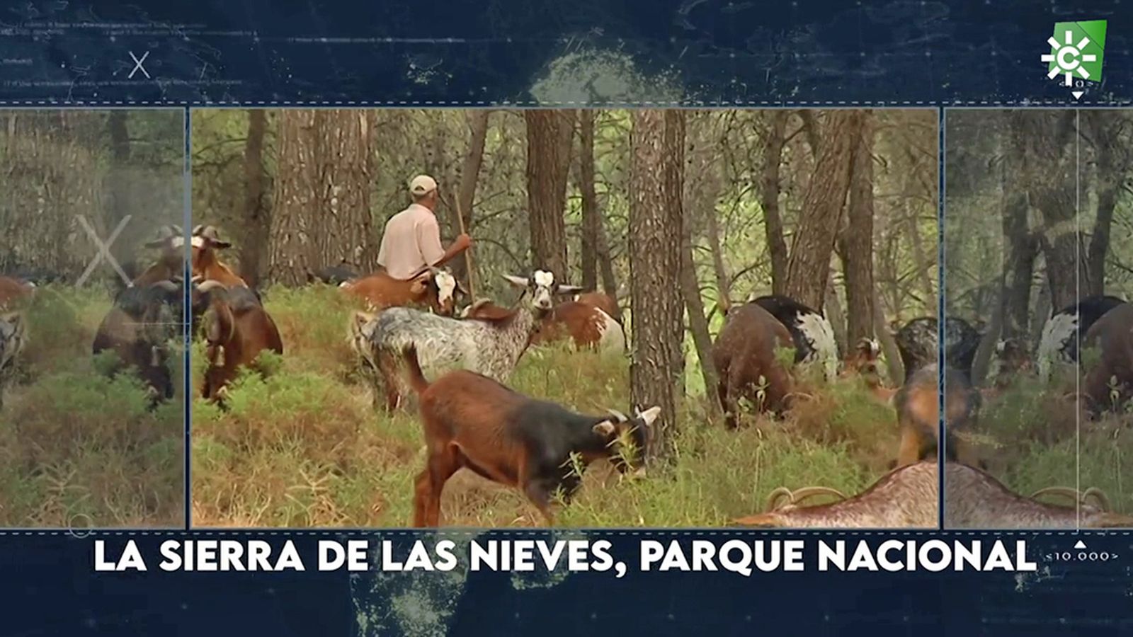 foto sierranieves