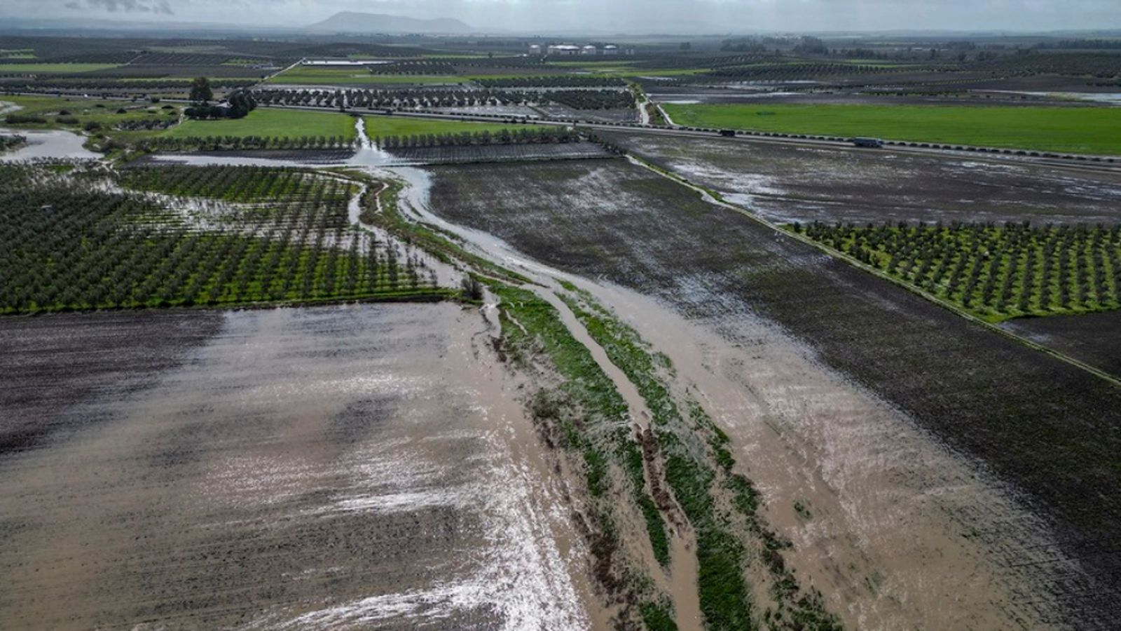 Tierra y mar, 15 febrero