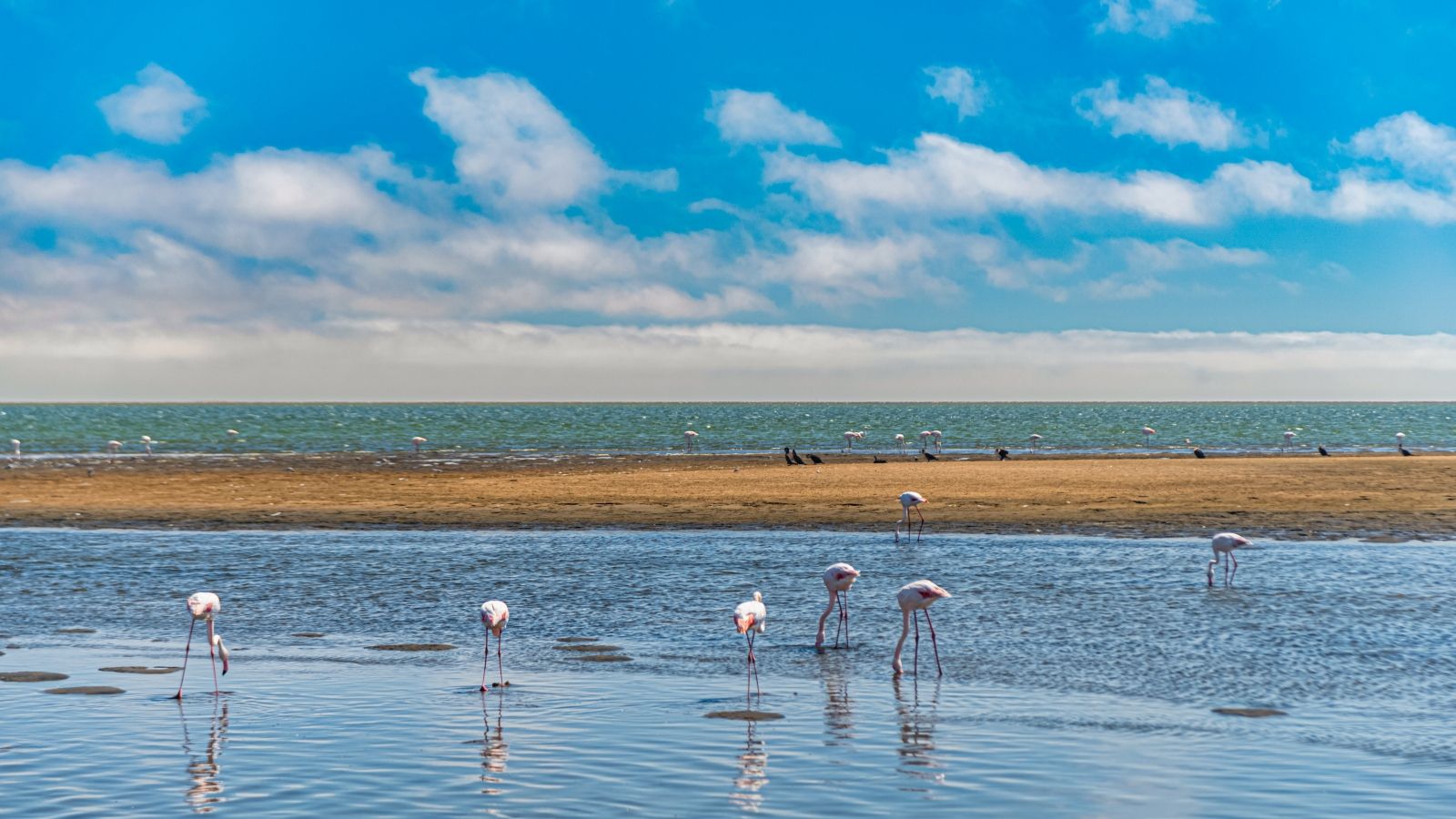 Hablamos de las marismas de Doñana en RAI