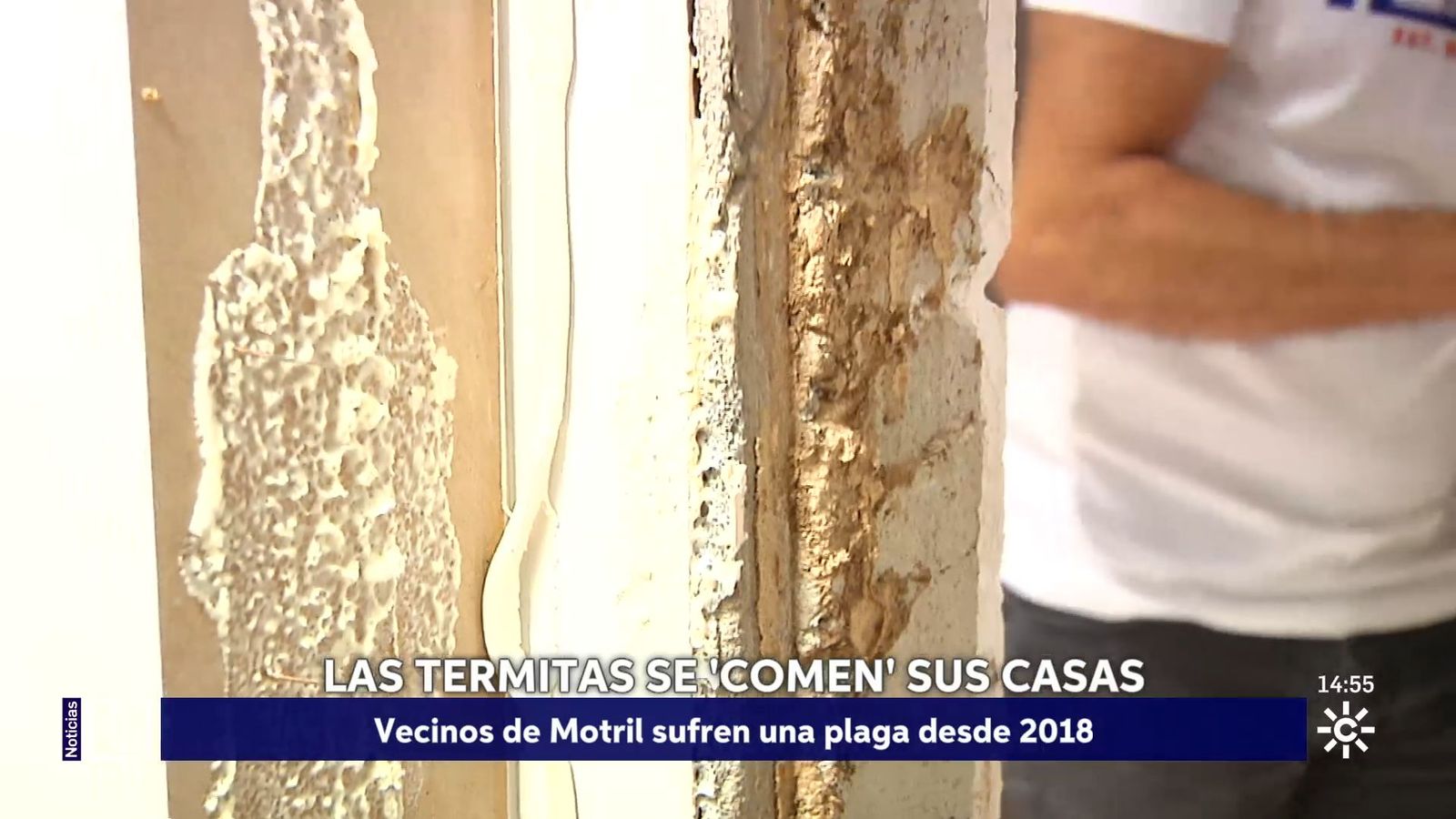 Vecinos de Motril denuncian que las termitas se "comen" sus casas