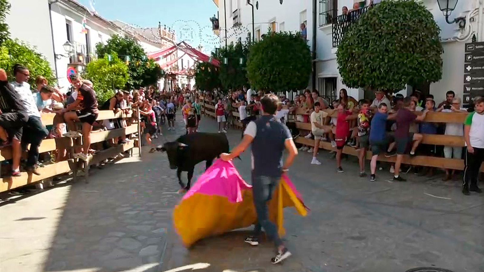 La suelta de vaquillas es el momento espectacular de la Feria de Zahara de la Sierra